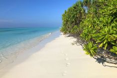 thooddoo-beach-maldives